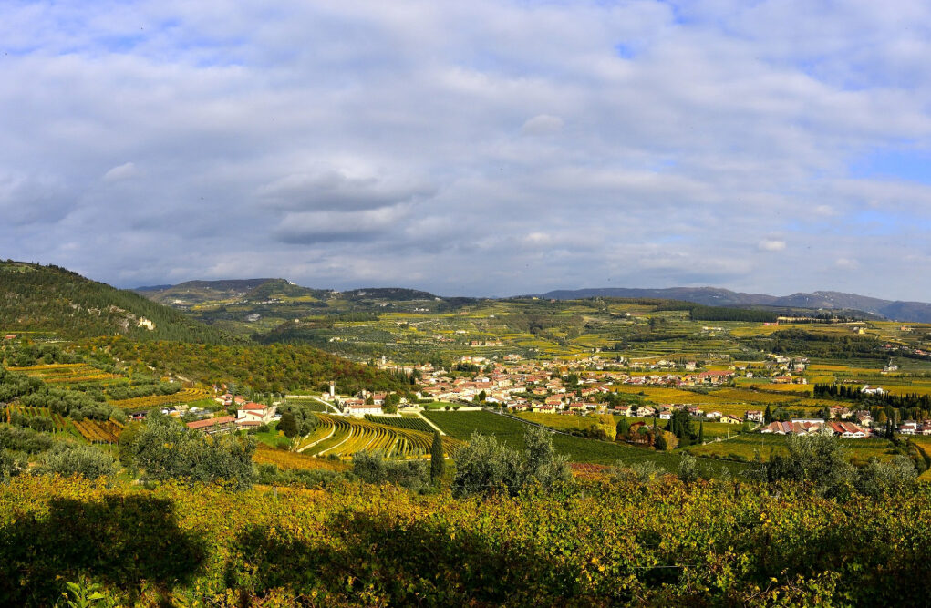valpolicella-news