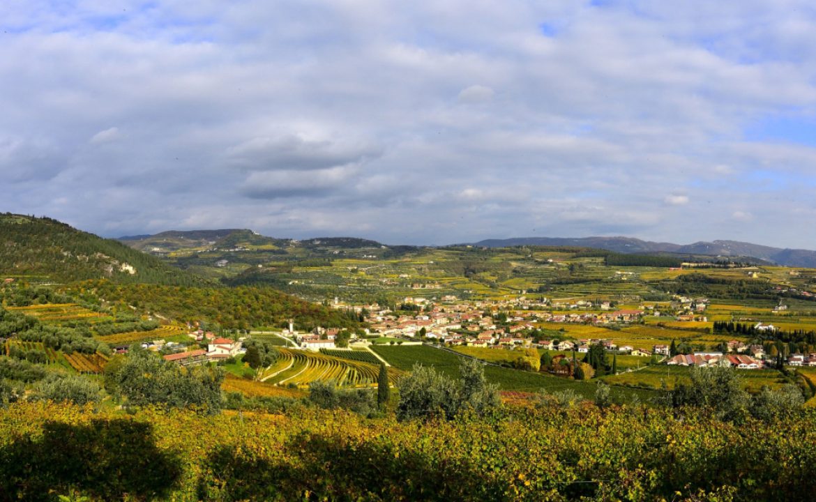 valpolicella-news