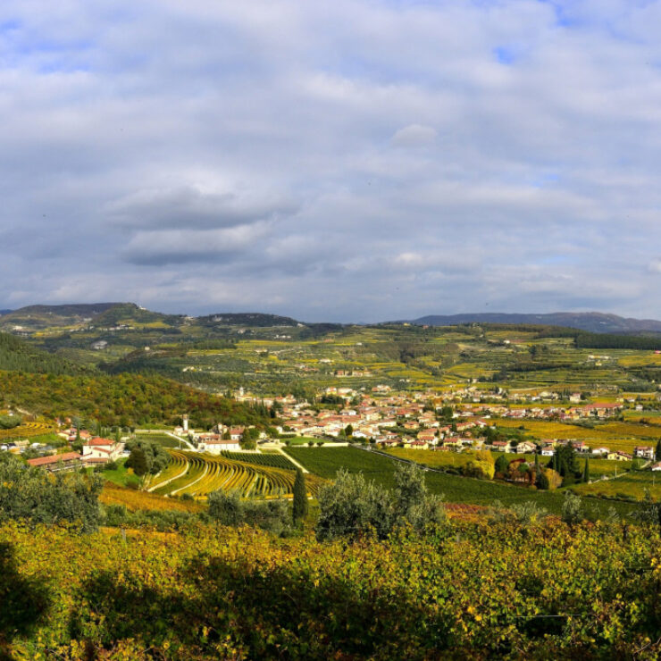 valpolicella-news